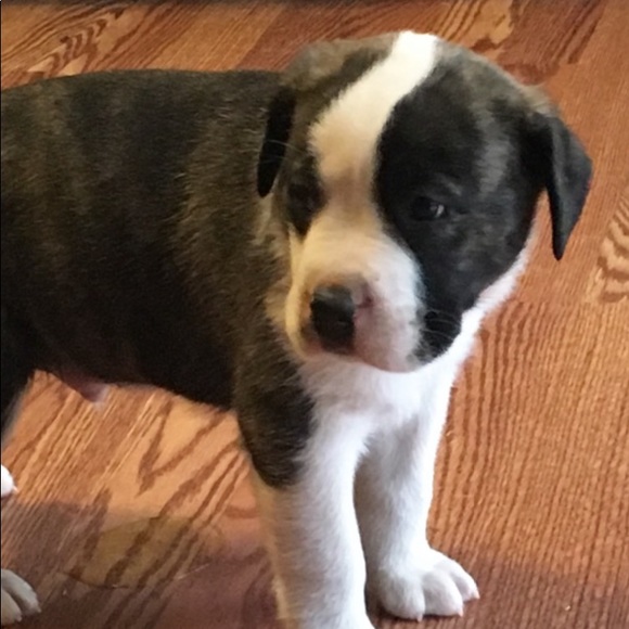 Meet your Posher, Jeanne - Picture 1 of 2